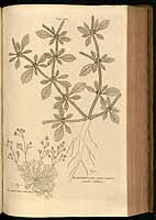  no thumbnail available