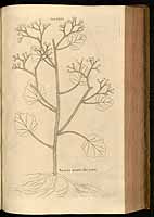  no thumbnail available