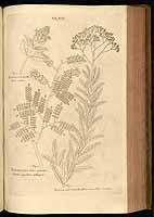  no thumbnail available