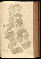  no thumbnail available