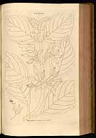  no thumbnail available