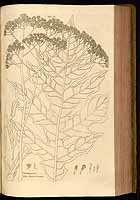  no thumbnail available