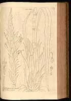  no thumbnail available