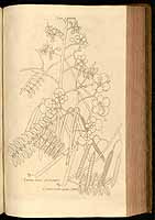  no thumbnail available