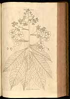  no thumbnail available