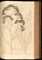  no thumbnail available