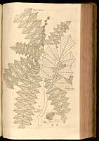  no thumbnail available