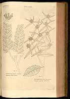  no thumbnail available