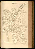  no thumbnail available