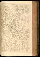  no thumbnail available