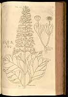  no thumbnail available