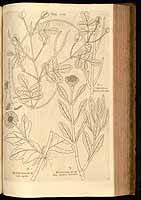  no thumbnail available