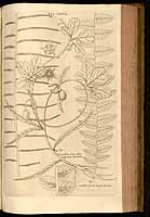  no thumbnail available