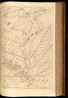  no thumbnail available