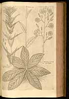  no thumbnail available