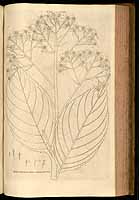  no thumbnail available