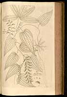  no thumbnail available