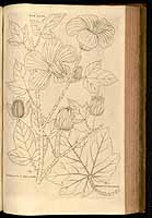  no thumbnail available