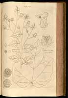  no thumbnail available