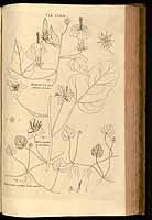  no thumbnail available