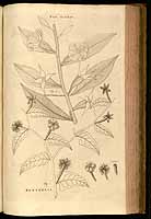  no thumbnail available