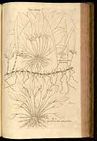  no thumbnail available