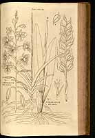  no thumbnail available