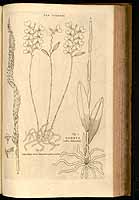  no thumbnail available