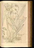  no thumbnail available