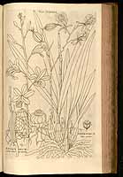  no thumbnail available