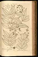  no thumbnail available