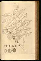  no thumbnail available