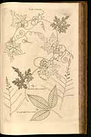  no thumbnail available