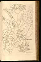  no thumbnail available