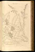  no thumbnail available