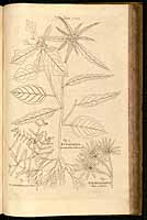  no thumbnail available