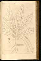  no thumbnail available