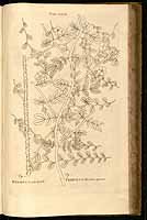  no thumbnail available