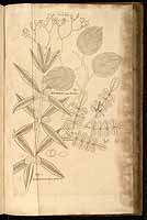  no thumbnail available