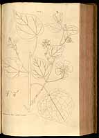  no thumbnail available