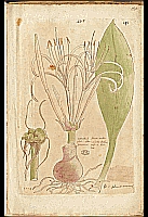 no HD illustration available (5) 