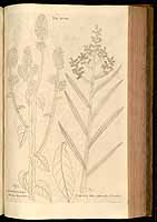  no thumbnail available