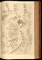  no thumbnail available