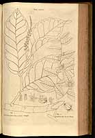  no thumbnail available