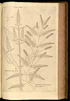  no thumbnail available