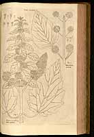  no thumbnail available