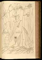  no thumbnail available