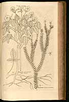  no thumbnail available