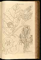  no thumbnail available