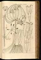  no thumbnail available